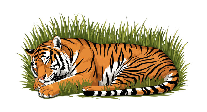 serene sleeping tiger transparent background vector illustration for design projects