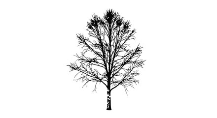 bare winter tree silhouette transparent vector illustration for design