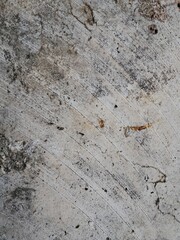 The image shows a close-up of a weathered, textured surface, likely concrete or stone, with cracks, dirt, and discoloration.
