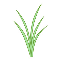 稲のイラスト カラー