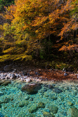 日本の風景・秋　長野県大桑村　紅葉の阿寺渓谷