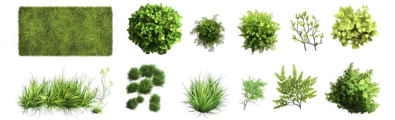 Overhead View Of Assorted Green Foliage Clusters On A White Background