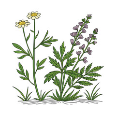 Beautiful Wildflower Bundle for Garden Enthusiasts.