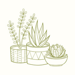 Elegant Succulent and Cactus Plant Set for Home Décor.