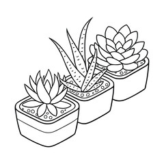 Elegant Succulent Trio in Modern Pots.