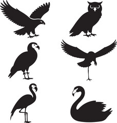 Obraz premium Silhouettes of birds of prey and water birds including eagle, owl, hawk, and flamingo falcon bird of prey