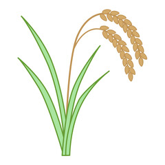 稲穂のイラスト カラー