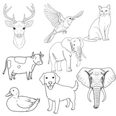 kids colouring book animals