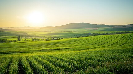 Obraz premium A breathtaking view of a beautiful countryside landscape with lush green fields and a clear sky.