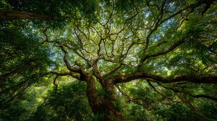 Majestic ancient tree with sprawling branches forming a living green canopy, bathed in golden sunlight, symbolizing harmony, resilience, and the sacred balance of the rainforest.