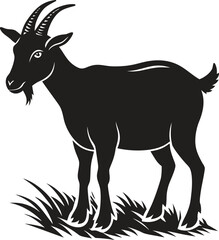 Goat grazing on grass silhouette. Farm animal, livestock, nature, pasture vector isolate on white background