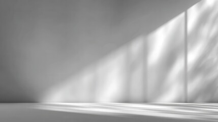 Simple White Room With Sunlight Shadows