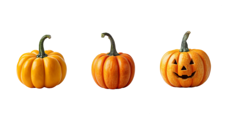 Three pumpkins isolated on a transparent background, showcasing autumn vibes and Halloween spirit, perfect for seasonal decorations and festive themes