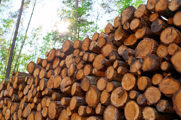 Firewood logs as renewable heat material