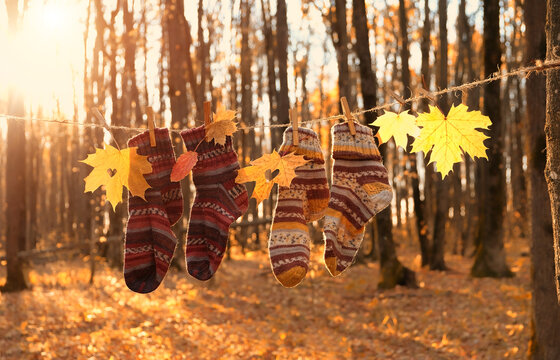 Beautiful autumn nature background. autumnal leaves and colorful knitted socks hanging on rope in forest, sunny nature backdrop. symbol of fall season.