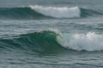 Fototapeta premium A Glimpse into the Ocean's Dance