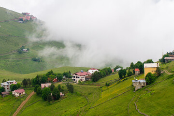The Black Sea region in eastern T&uuml;rkiye is famous for its high mountain plateaus, the most popular of which are the Uzung&ouml;l and Sultan Murat plateaus.