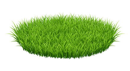 Lush green ovalshaped patch of grass densely packed and slightly textured on a white background