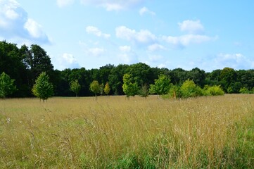 Landschaft am Niederrhein