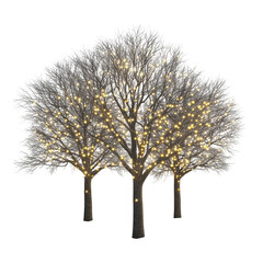 Obraz premium Three winter trees with white branches and warm yellow lights christmas holiday decoration png image, festive season decor, isolated on transparent background