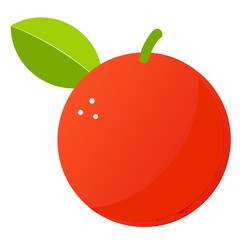 vector illustration of a blood lime 