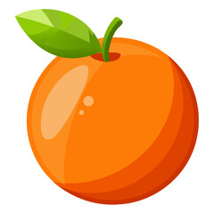 blood orange fruit vector illustration