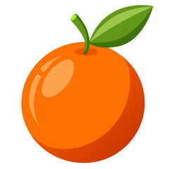 vector illustration of a blood orange