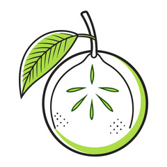 brazilian-guava-fruit-line-art-on-white-background