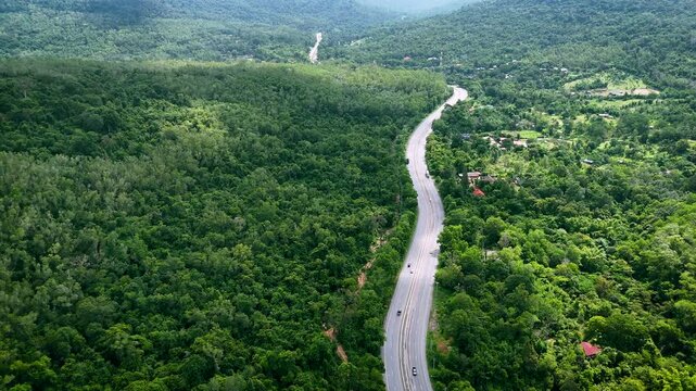 Drone footage of the aerial view of a winding road cutting through lush green forest. Scenic highway number 304 in Thailand links the Bangkok area to Nakhon Ratchasima in the northeastern region