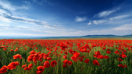 A beautiful, sun-drenched spring summer meadow. Natural colorful panoramic landscape with many wild flowers of daisies against blue sky. A frame with soft selective focus.