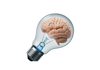 Isolated Human Brain inside a Light Bulb for Creative Ideas