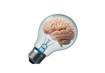 Isolated Human Brain inside a Light Bulb for Creative Ideas