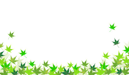 Obraz premium Maple Design_Horizontal_Lower frame_Green leaves