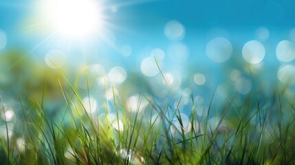 Obraz premium Lush green grass against a bright sky