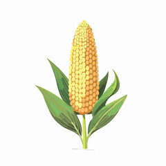 Sorghum Isometric vector illustration with clean 3D perspective.