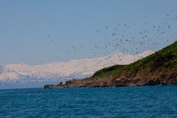 Çarpanak Island is an island located in the northeastern region of Lake Van, in the Çitoren...