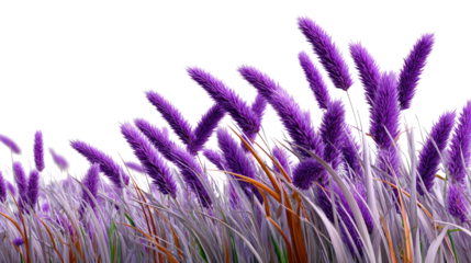 Purple Bloom in the Breeze: An image captures the delicate dance of nature, with slender stems of purple flowers swaying gracefully in the wind.