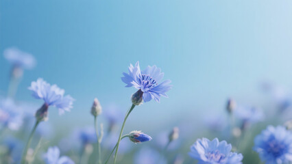 blue flowers in the garden