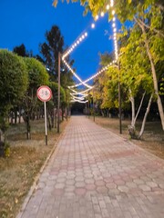 Evening Stroll Illuminated Pathway Through a Tranquil Park with No Bicycles Allowed, Serene Escape