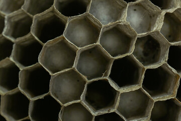 abstract background with honeycombs