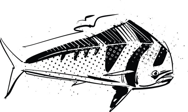 vector hand-drawn sketch of a Roosterfish Dorado