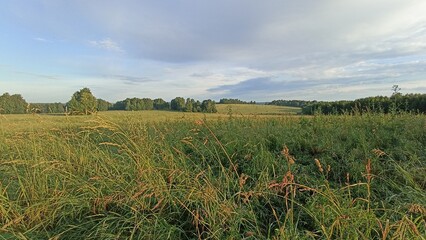 Obraz premium Rolling Green Hills and Meadows with Hay Bales Under a Cloudy Sky, Serene Rural Landscape