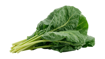 Fresh collard greens isolated against a neutral backdrop offer culinary and design possibilities