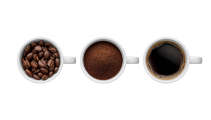 Transformation of Coffee Preparing Stages Depicted in a Minimalist Arrangement Against a