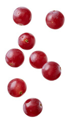 Vibrant red grapes ascending gracefully on a seamlessly transparent canvas of solitude