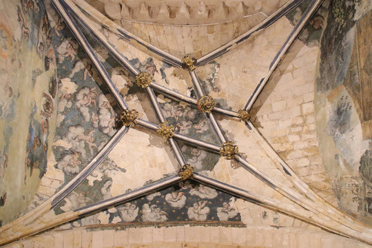 sculpted vaults in a chapel in a gothic cathedral in zamora in spain  - Powered by Adobe
