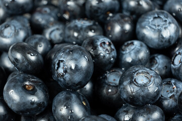 Fresh Blueberries with Water Droplets. Berry Background Close-Up.