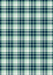 Green plaid fabric texture featuring a classic tartan pattern with geometric lines	
