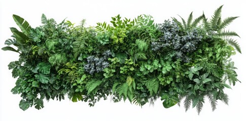 Obraz premium Vibrant Green Foliage Wall Display