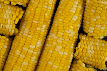 Close-up of cooked corn cobs